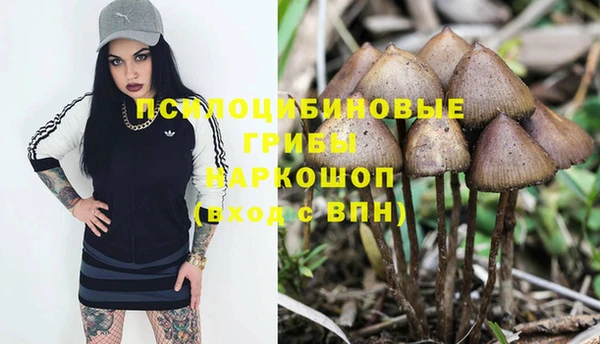 дурь Абаза