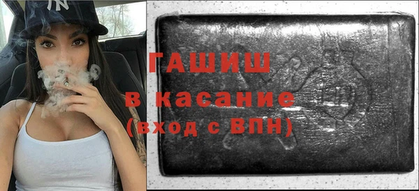 гашик Алексин